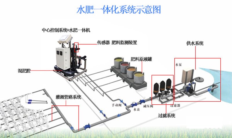 无土栽培技术选购指南：从新手到高手的完美进阶