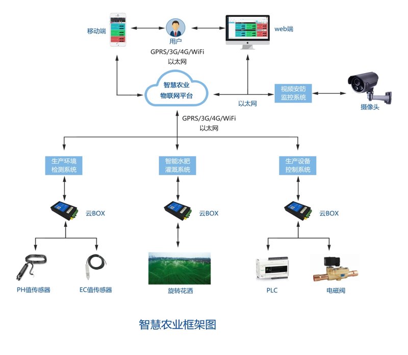 水培设备定制：现代农业发展的新引擎
