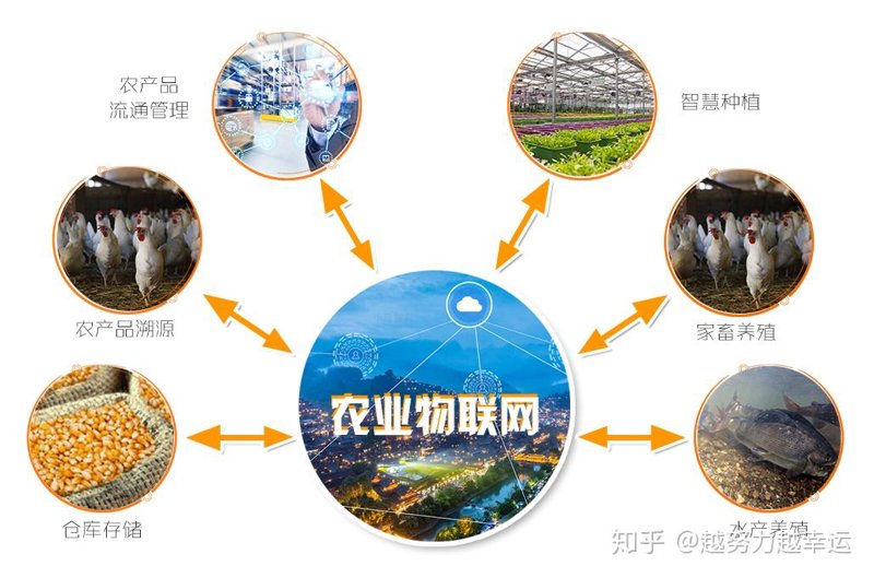 未来农业的革新者——水培设备定制
